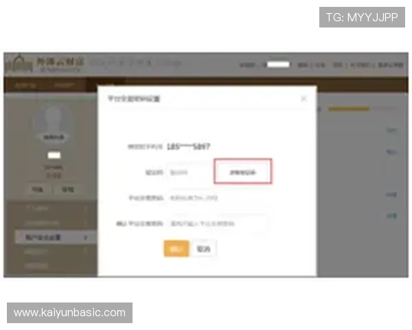 解析开云网页登陆的安全性与优化技巧，保障你的信息安全